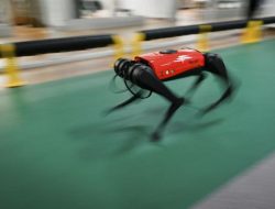 Robot Anjing Berkeliaran Jadi Tukang Pungut Lembing Asian Games 2023